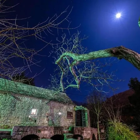 Holiday home The Old Stone House Near Split Zrnovnica